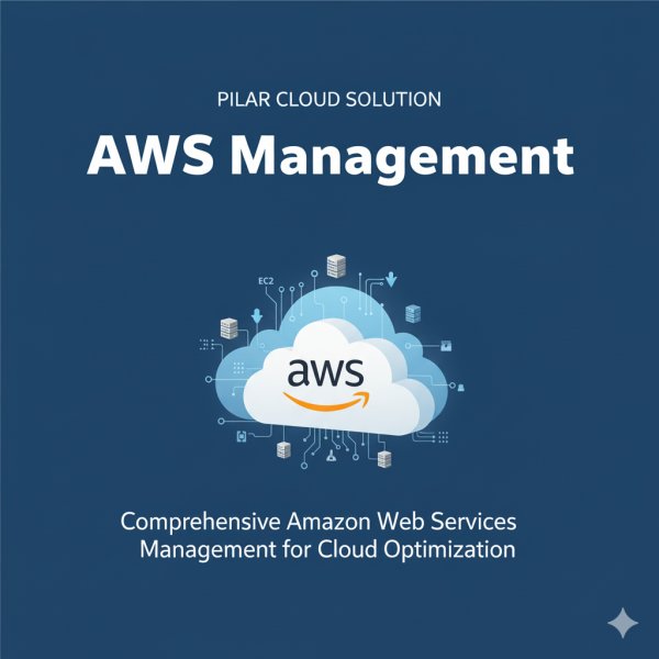 AWS Management